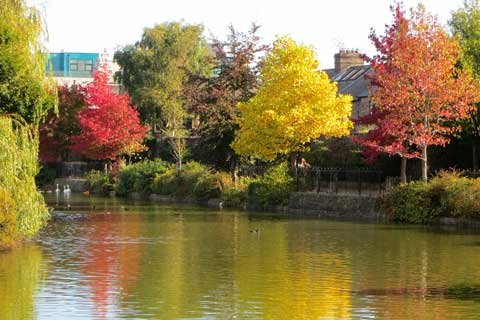 Que tiempo hace en Dublín otoño